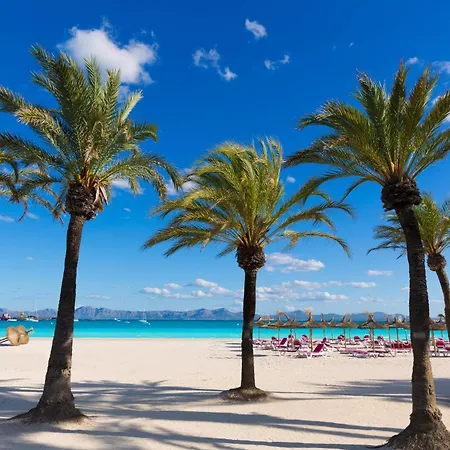 Oscols Villa Alcudia (Mallorca)