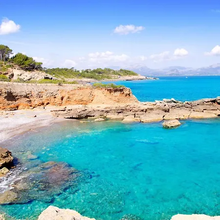 Oscols * Alcudia (Mallorca)
