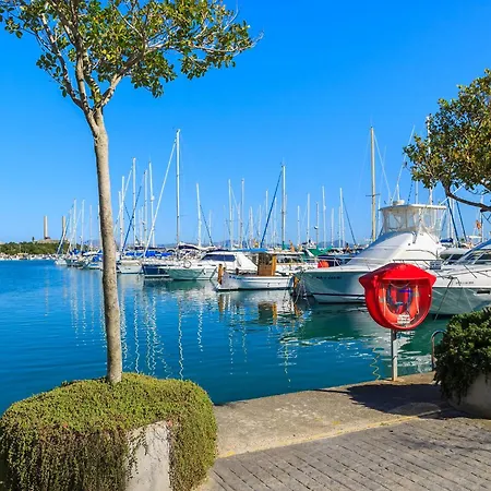 Oscols Alcudia (Mallorca)